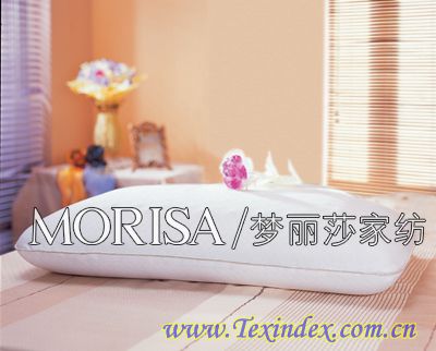 夢麗莎:冬日里的溫“芯”呈獻