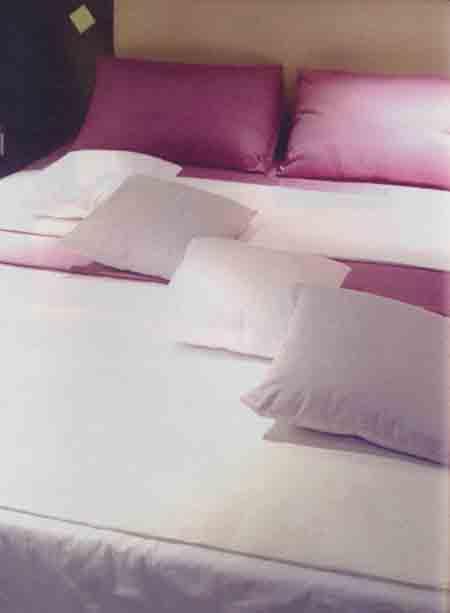 不倦的行走張寶華訪談