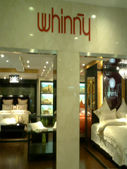 勵精圖治,實現品牌升級