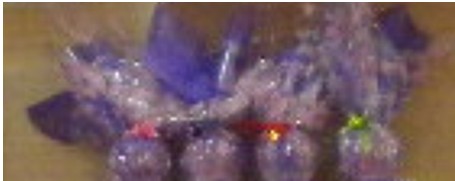 轉(zhuǎn)危機(jī)為商機(jī)