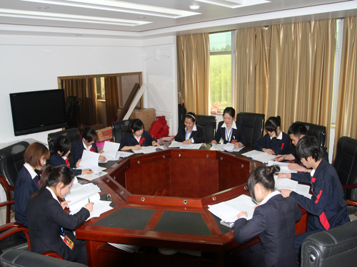 盛宇集團團總支升格為團委,第一次團代會隆重召開