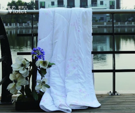 沉醉在紫羅蘭的甜美夢境