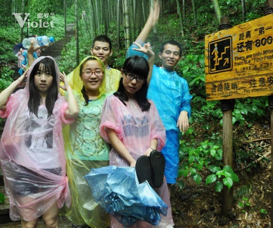 紫羅蘭市場部登山拓展敘寫永不放棄的團隊精神