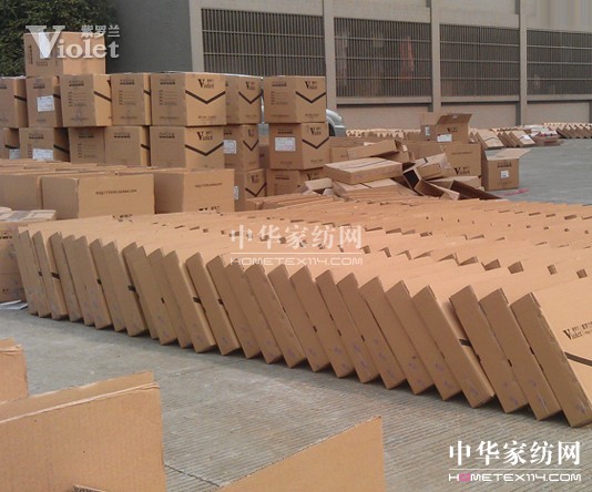 雙十一紫羅蘭銷售創新高