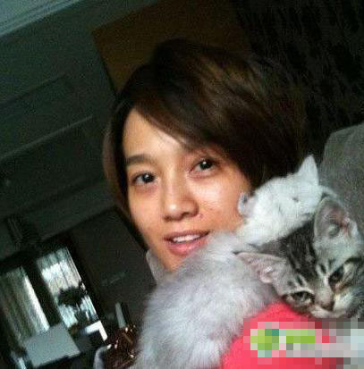 朱丹魯豫女主播想撕毀的素顏照