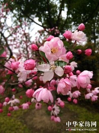 寶縵首屆“夢(mèng)想▪成長(zhǎng)”主題攝影大賽感動(dòng)落幕