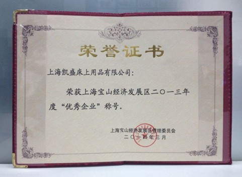 凱盛榮膺上海寶山年度優秀企業
