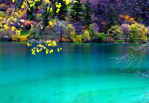 中國家紡協(xié)會赴四川彭州調研