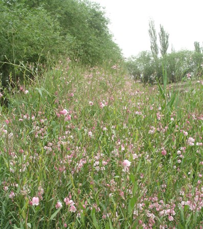 ½һI_l80֧߼_鼆Ҽļۃr11f