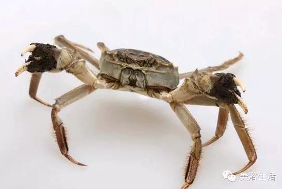 ԡÂĴlззSʳзȯۣзë