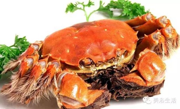 ԡÂĴlззSʳзȯۣзë